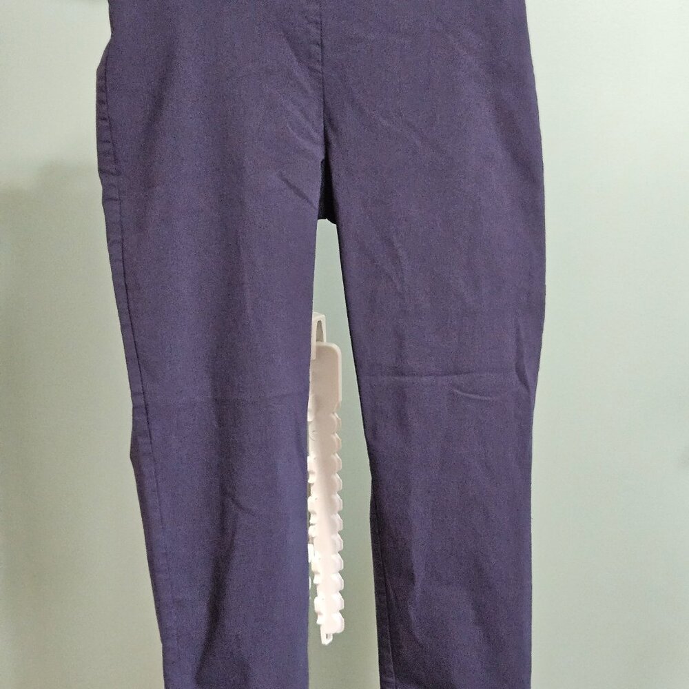 Emaline Navy Skinny Pant - Picture 2 of 6